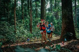 BIB: 
                            <button type="button" onclick="openModal(26132795)" class="btn btn-primary btn-sm float-right btn-popup" data-toggle="modal" data-target=".modal-high-quality">
                        <i class="fas fa-shopping-cart"></i> Add to Cart
                    </button>
                                            <button type="button" onclick="isThisMe(26132795, true)" class="btn btn-success btn-sm float-right btn-popup btn-isme hidden" data-toggle="tooltip" data-placement="bottom" title="นี่คือรูปของคุณใช่ไหม คลิกที่นี่เพื่อเอาเข้าอัลบั้ม">
                        <i class="fas fa-plus"></i> Add to album
                    </button>
                    <button type="button" onclick="isThisMe(26132795, false)" class="btn btn-warning btn-sm float-right btn-popup btn-isnotme hidden">
                        <i class="fas fa-ban"></i> Remove from album
                    </button>